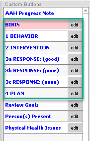 Screenshot for Creating a BIRP Note