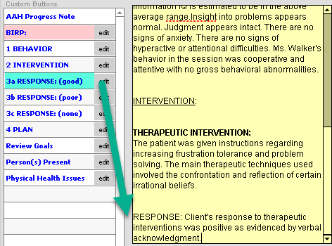 Screenshot for Creating a BIRP Note