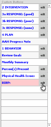 Screenshot for Creating a BIRP Note