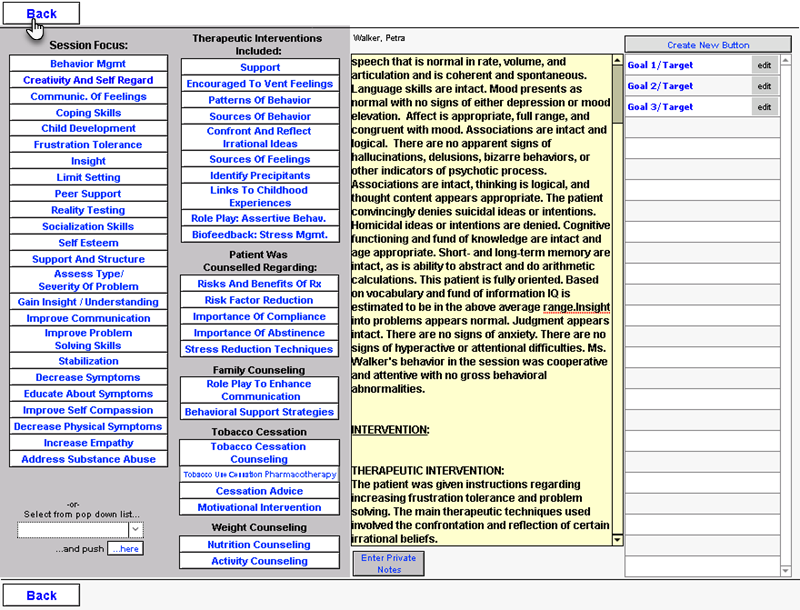 Screenshot for Creating a BIRP Note