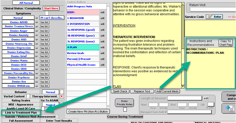 Screenshot for Creating a BIRP Note