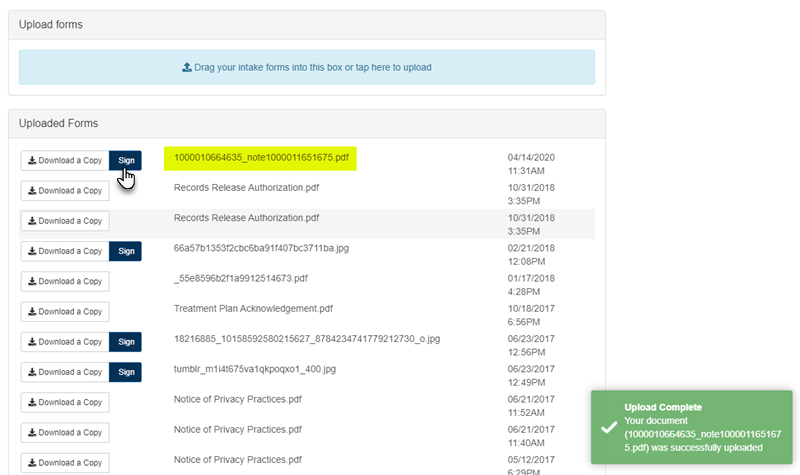 Screenshot for Patient Signature of Treatment Plan or Note via the Portal