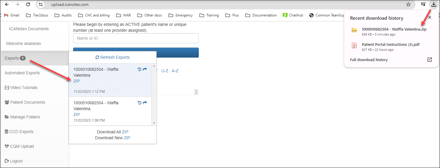 Screenshot for Patient Data export (Individual level)