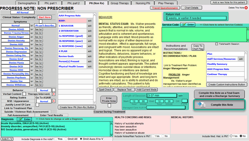 Screenshot for Creating a BIRP Note