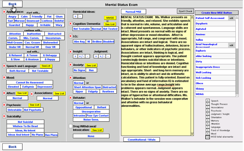 Screenshot for Creating a BIRP Note