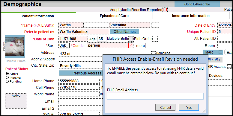 Screenshot for FHIR Access