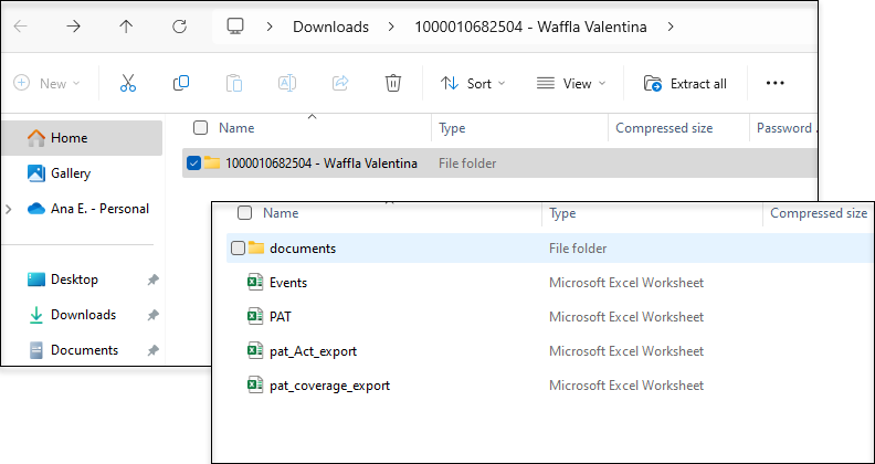 Screenshot for Patient Data export (Individual level)